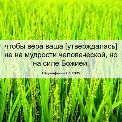 Picture 06 - 1 Коринфянам 2:5 RUSV - чтобы вера ваша - Bible Verse Picture
