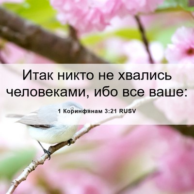 Picture 06 - 1 Коринфянам 3:21 RUSV - Итак никто не хвались - Bible Verse Picture