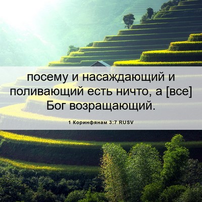 Picture 06 - 1 Коринфянам 3:7 RUSV - посему и насаждающий и - Bible Verse Picture