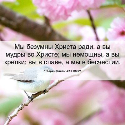 Picture 06 - 1 Коринфянам 4:10 RUSV - Мы безумны Христа ради, а - Bible Verse Picture