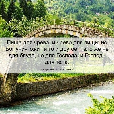 Picture 06 - 1 Коринфянам 6:13 RUSV - Пища для чрева, и чрево для - Bible Verse Picture