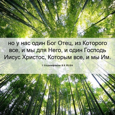 Picture 06 - 1 Коринфянам 8:6 RUSV - но у нас один Бог Отец, из - Bible Verse Picture