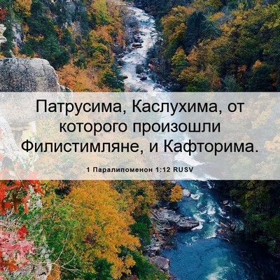 Picture 06 - 1 Паралипоменон 1:12 RUSV - Патрусима, Каслухима, от - Bible Verse Picture