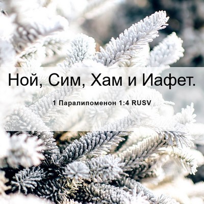 Picture 06 - 1 Паралипоменон 1:4 RUSV - Ной, Сим, Хам и - Bible Verse Picture