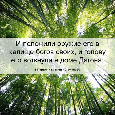 Picture 06 - 1 Паралипоменон 10:10 RUSV - И положили оружие его в - Bible Verse Picture