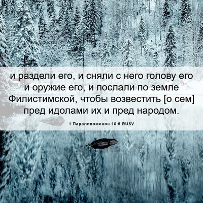 Picture 06 - 1 Паралипоменон 10:9 RUSV - и раздели его, и сняли с - Bible Verse Picture