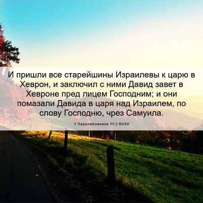 Picture 06 - 1 Паралипоменон 11:3 RUSV - И пришли все старейшины - Bible Verse Picture
