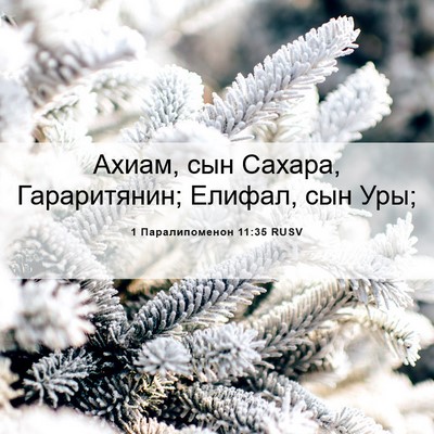 Picture 06 - 1 Паралипоменон 11:35 RUSV - Ахиам, сын Сахара, - Bible Verse Picture