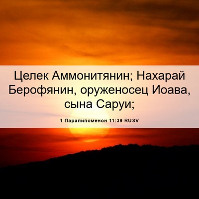 Picture 06 - 1 Паралипоменон 11:39 RUSV - Целек Аммонитянин; Нахарай - Bible Verse Picture