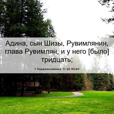 Picture 06 - 1 Паралипоменон 11:42 RUSV - Адина, сын Шизы, - Bible Verse Picture