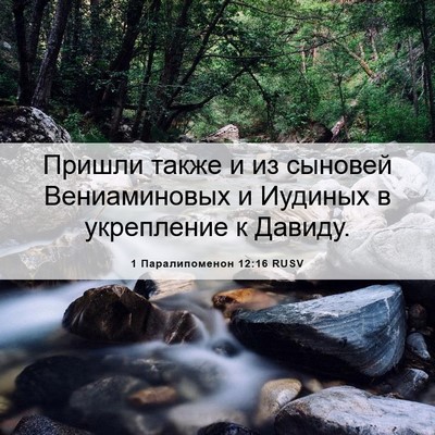 Picture 06 - 1 Паралипоменон 12:16 RUSV - Пришли также и из сыновей - Bible Verse Picture