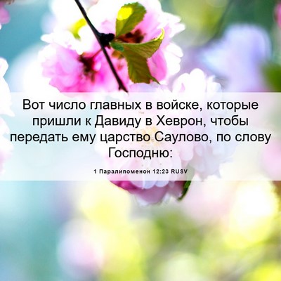 Picture 06 - 1 Паралипоменон 12:23 RUSV - Вот число главных в войске, - Bible Verse Picture