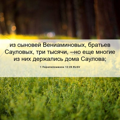 Picture 06 - 1 Паралипоменон 12:29 RUSV - из сыновей Вениаминовых, - Bible Verse Picture