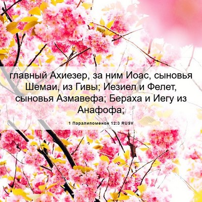 Picture 06 - 1 Паралипоменон 12:3 RUSV - главный Ахиезер, за ним - Bible Verse Picture