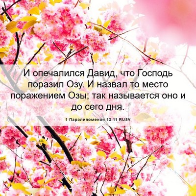 Picture 06 - 1 Паралипоменон 13:11 RUSV - И опечалился Давид, что - Bible Verse Picture