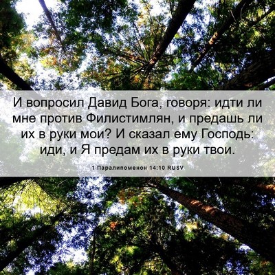 Picture 06 - 1 Паралипоменон 14:10 RUSV - И вопросил Давид Бога, - Bible Verse Picture