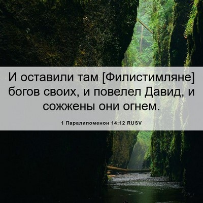 Picture 06 - 1 Паралипоменон 14:12 RUSV - И оставили там - Bible Verse Picture