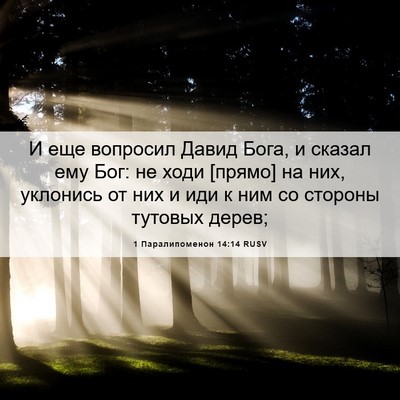 Picture 06 - 1 Паралипоменон 14:14 RUSV - И еще вопросил Давид Бога, - Bible Verse Picture
