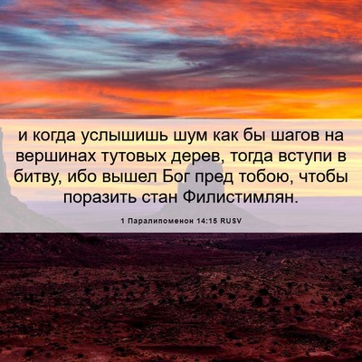 Picture 06 - 1 Паралипоменон 14:15 RUSV - и когда услышишь шум как бы - Bible Verse Picture