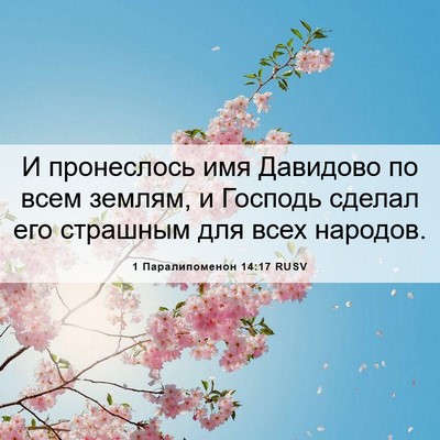 Picture 06 - 1 Паралипоменон 14:17 RUSV - И пронеслось имя Давидово - Bible Verse Picture