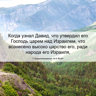 Picture 06 - 1 Паралипоменон 14:2 RUSV - Когда узнал Давид, что - Bible Verse Picture