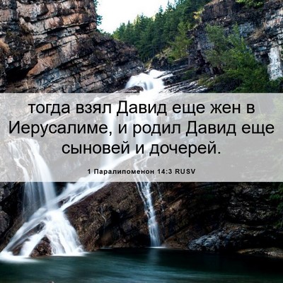 Picture 06 - 1 Паралипоменон 14:3 RUSV - тогда взял Давид еще жен в - Bible Verse Picture