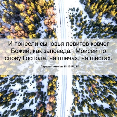 Picture 06 - 1 Паралипоменон 15:15 RUSV - И понесли сыновья левитов - Bible Verse Picture