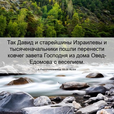 Picture 06 - 1 Паралипоменон 15:25 RUSV - Так Давид и старейшины - Bible Verse Picture