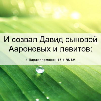 Picture 06 - 1 Паралипоменон 15:4 RUSV - И созвал Давид сыновей - Bible Verse Picture