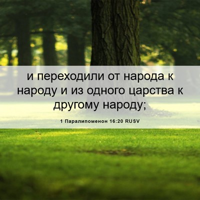 Picture 06 - 1 Паралипоменон 16:20 RUSV - и переходили от народа к - Bible Verse Picture