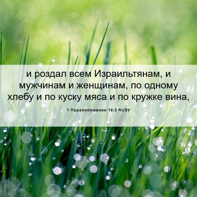 Picture 06 - 1 Паралипоменон 16:3 RUSV - и роздал всем - Bible Verse Picture