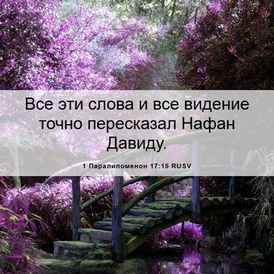 Picture 06 - 1 Паралипоменон 17:15 RUSV - Все эти слова и все видение - Bible Verse Picture