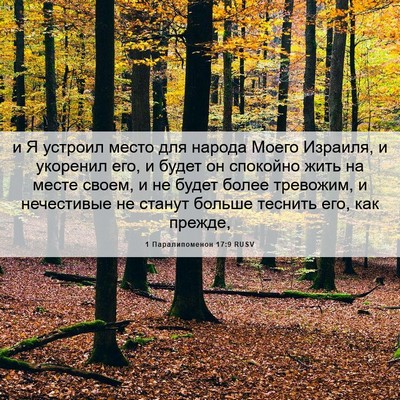 Picture 06 - 1 Паралипоменон 17:9 RUSV - и Я устроил место для - Bible Verse Picture