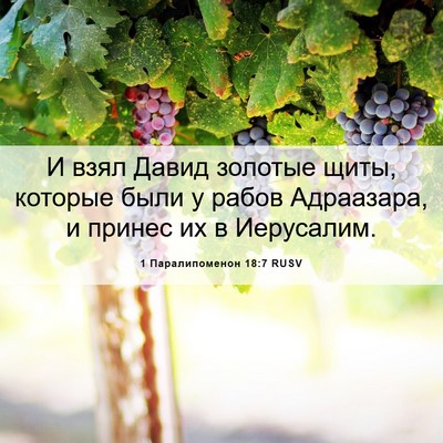 Picture 06 - 1 Паралипоменон 18:7 RUSV - И взял Давид золотые щиты, - Bible Verse Picture