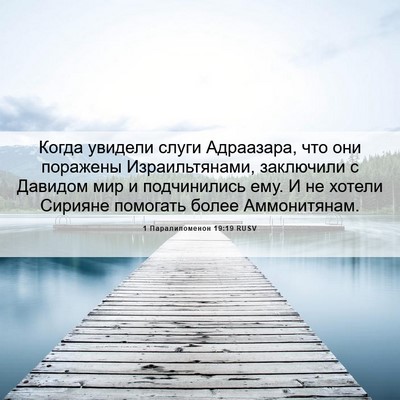 Picture 06 - 1 Паралипоменон 19:19 RUSV - Когда увидели слуги - Bible Verse Picture