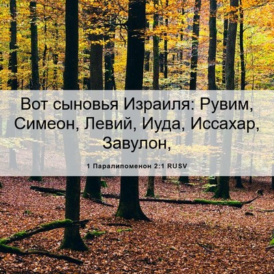 Picture 06 - 1 Паралипоменон 2:1 RUSV - Вот сыновья Израиля: Рувим, - Bible Verse Picture
