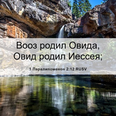 Picture 06 - 1 Паралипоменон 2:12 RUSV - Вооз родил Овида, Овид - Bible Verse Picture
