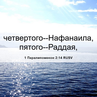 Picture 06 - 1 Паралипоменон 2:14 RUSV - четвертого--Нафанаила, - Bible Verse Picture