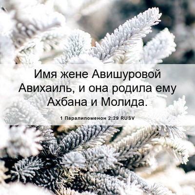 Picture 06 - 1 Паралипоменон 2:29 RUSV - Имя жене Авишуровой - Bible Verse Picture