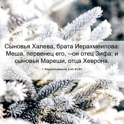 Picture 06 - 1 Паралипоменон 2:42 RUSV - Сыновья Халева, брата - Bible Verse Picture