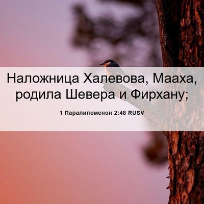 Picture 06 - 1 Паралипоменон 2:48 RUSV - Наложница Халевова, Мааха, - Bible Verse Picture