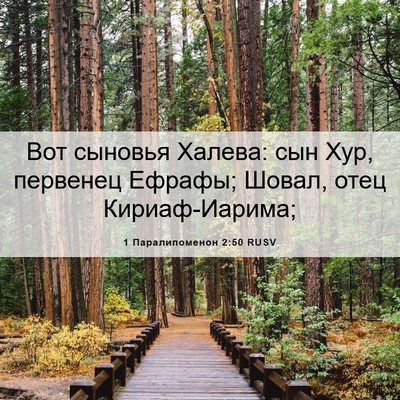 Picture 06 - 1 Паралипоменон 2:50 RUSV - Вот сыновья Халева: сын - Bible Verse Picture