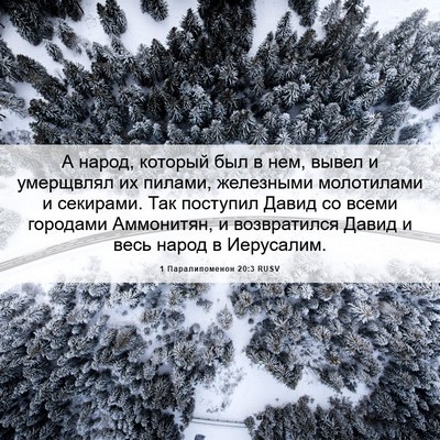 Picture 06 - 1 Паралипоменон 20:3 RUSV - А народ, который был в нем, - Bible Verse Picture