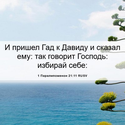 Picture 06 - 1 Паралипоменон 21:11 RUSV - И пришел Гад к Давиду и - Bible Verse Picture