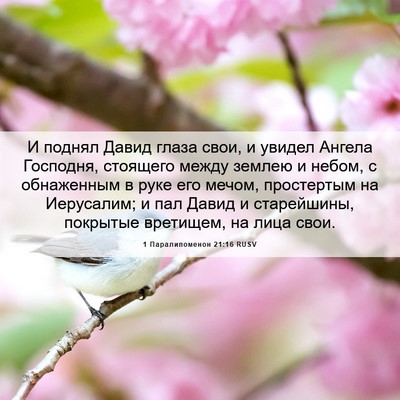 Picture 06 - 1 Паралипоменон 21:16 RUSV - И поднял Давид глаза свои, - Bible Verse Picture