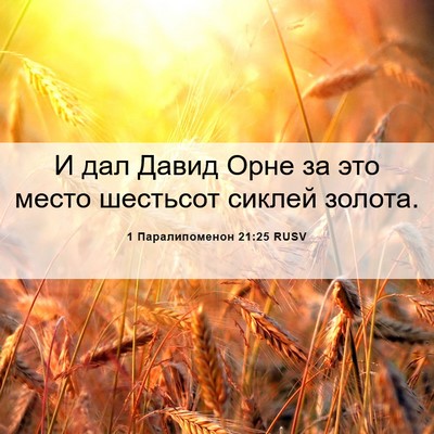 Picture 06 - 1 Паралипоменон 21:25 RUSV - И дал Давид Орне за это - Bible Verse Picture