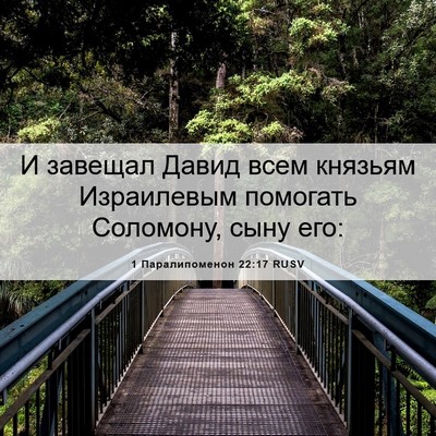 Picture 06 - 1 Паралипоменон 22:17 RUSV - И завещал Давид всем - Bible Verse Picture