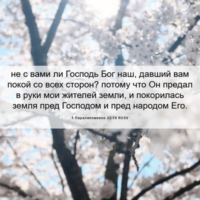 Picture 06 - 1 Паралипоменон 22:18 RUSV - не с вами ли Господь Бог - Bible Verse Picture