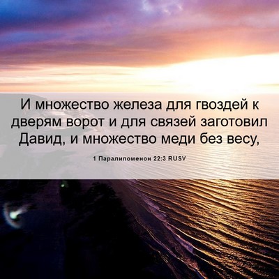 Picture 06 - 1 Паралипоменон 22:3 RUSV - И множество железа для - Bible Verse Picture