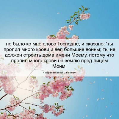 Picture 06 - 1 Паралипоменон 22:8 RUSV - но было ко мне слово - Bible Verse Picture